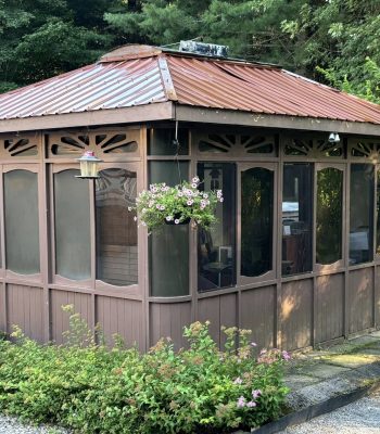 481944764_952120293710768_5203617939484455772_n